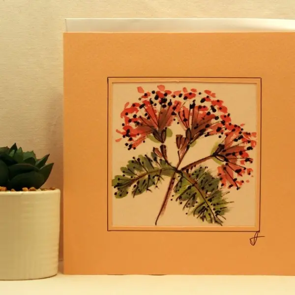 Клонче от дърво ''Албиция''- Копринено Дърво.