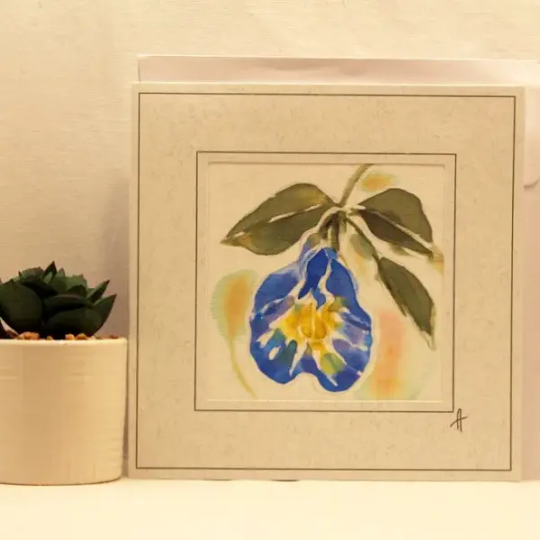 "Звездна Круша"